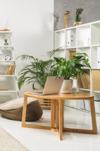 Gallerie Bild