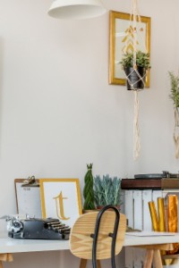 Gallerie Bild