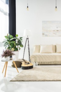 Gallerie Bild