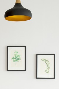 Gallerie Bild