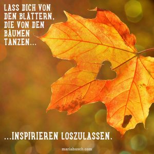 ausmisten leicht gemacht