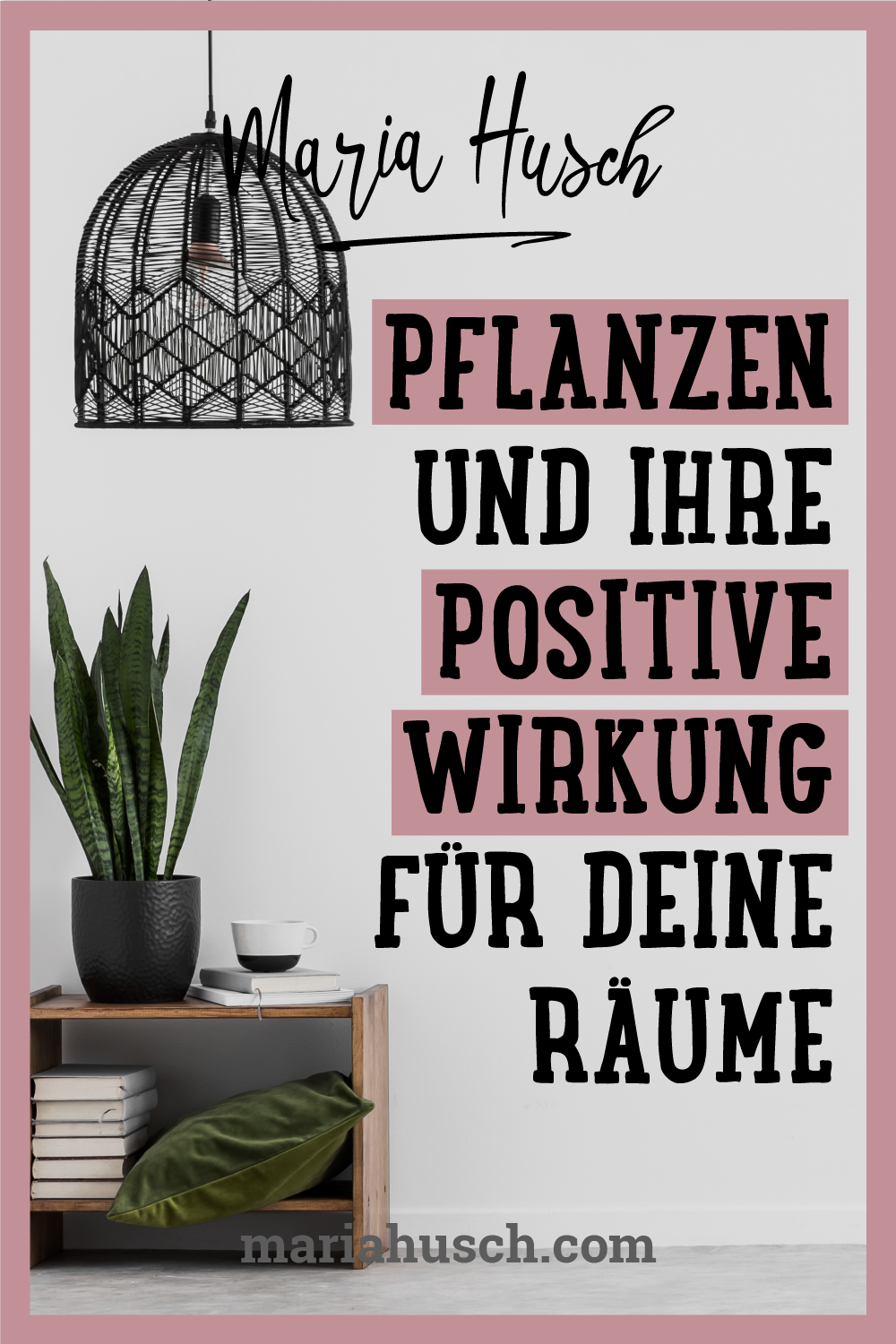 Raumtalk 92 Zimmerpflanzen Pinterest