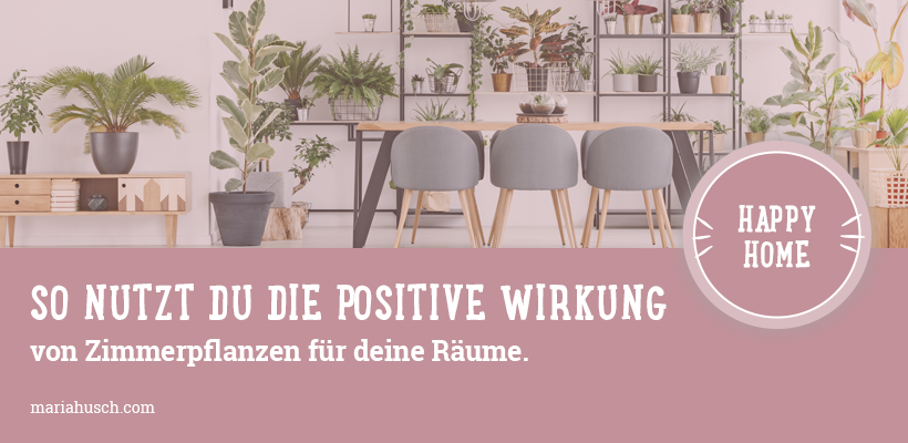 Wirkung Zimmerpflanzen