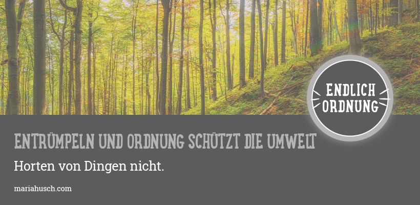 Raumtalk 215 Ordnung Umwelt